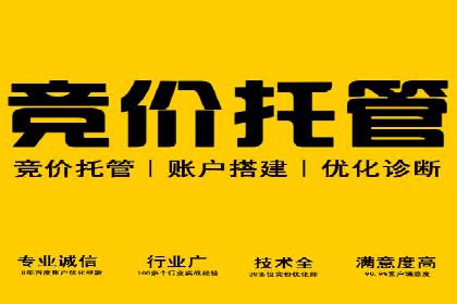 SEM托管代运营案例：助力企业品牌塑造